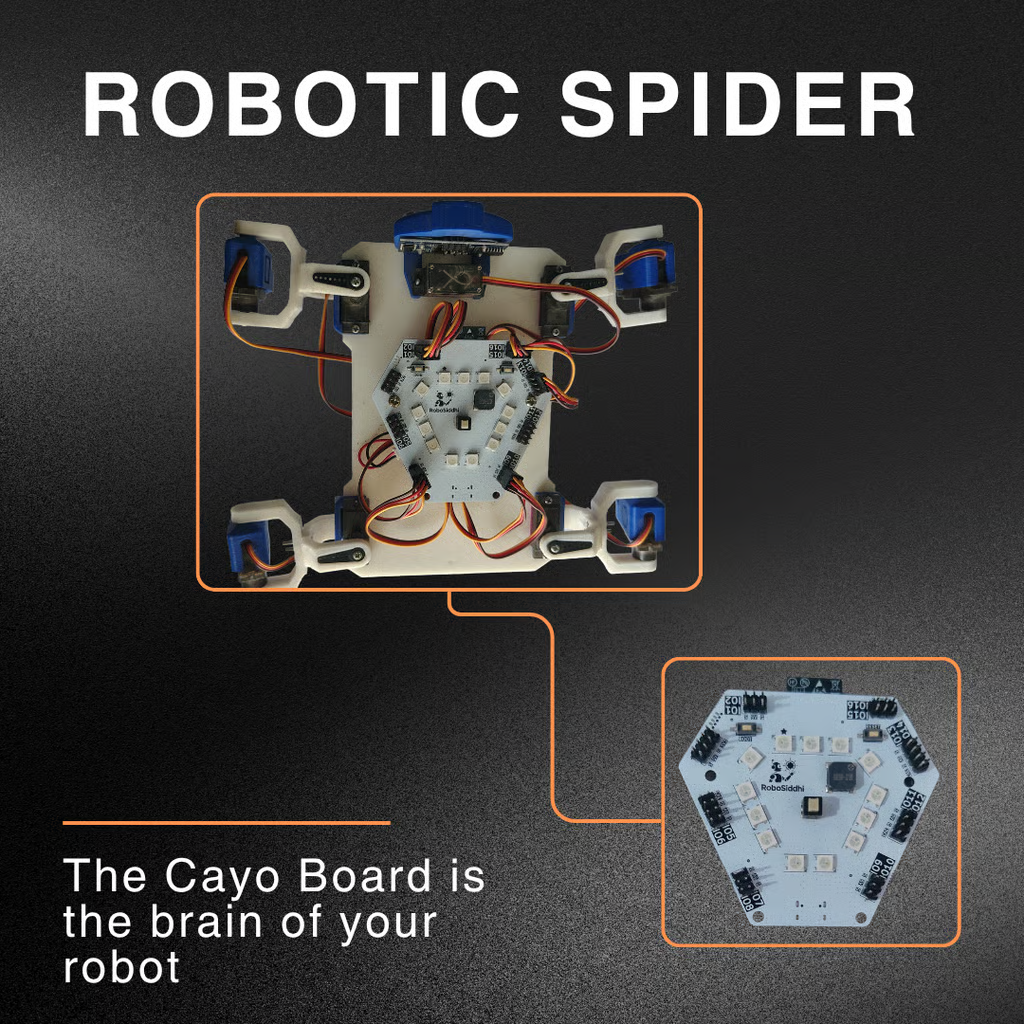 Grade 4 STEM Activities: Robotic Spider Programming Project