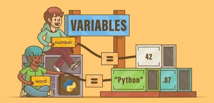Python Variables and Data Types