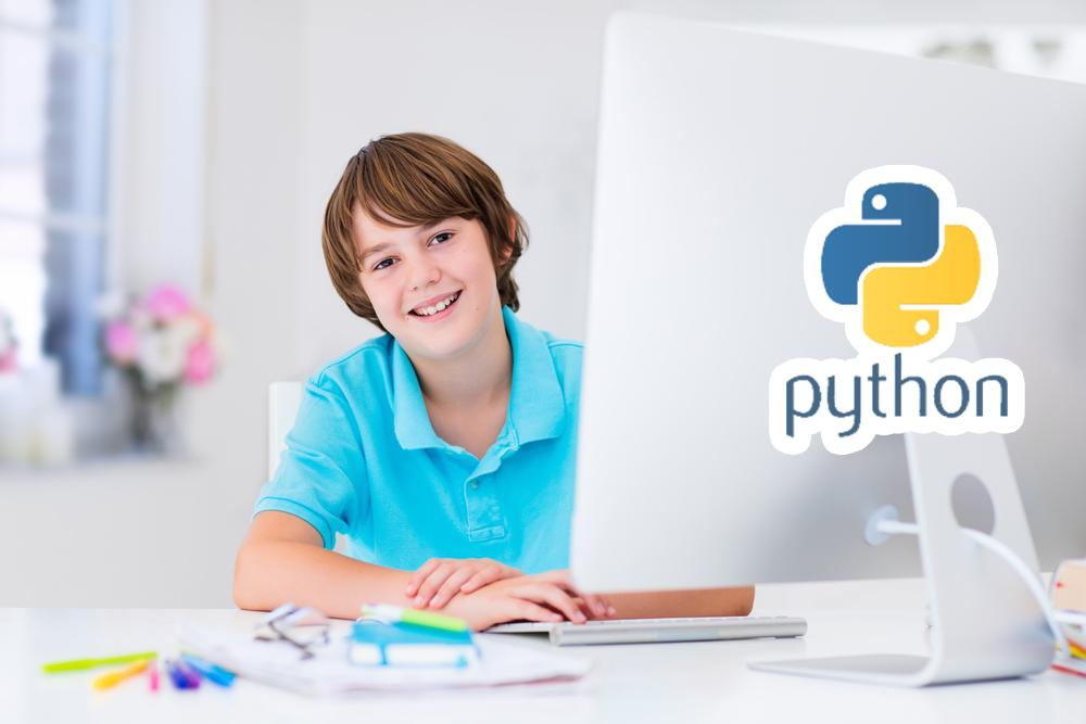 Python User Input